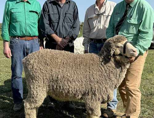 Top price ram at 2024 On Property Sale