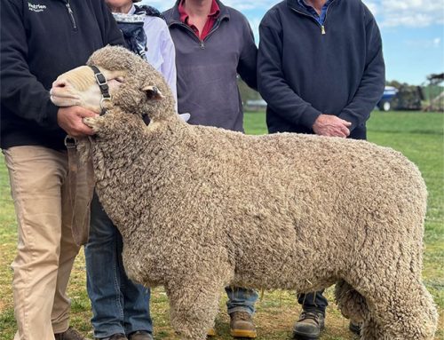 Top price ram at 2025 On Property Sale