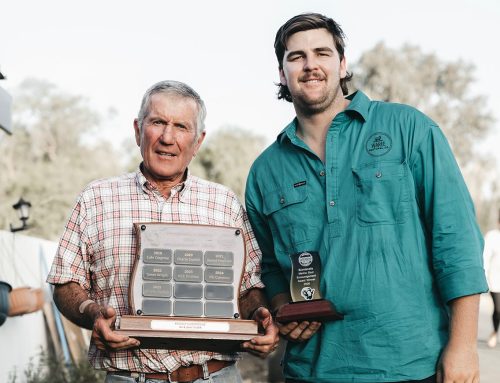 2026 Mid Lachlan Flock Ewe Competition