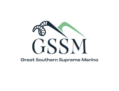 2026 Great Southern Supreme Merino Show